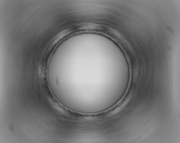 X0000111021017200907022154