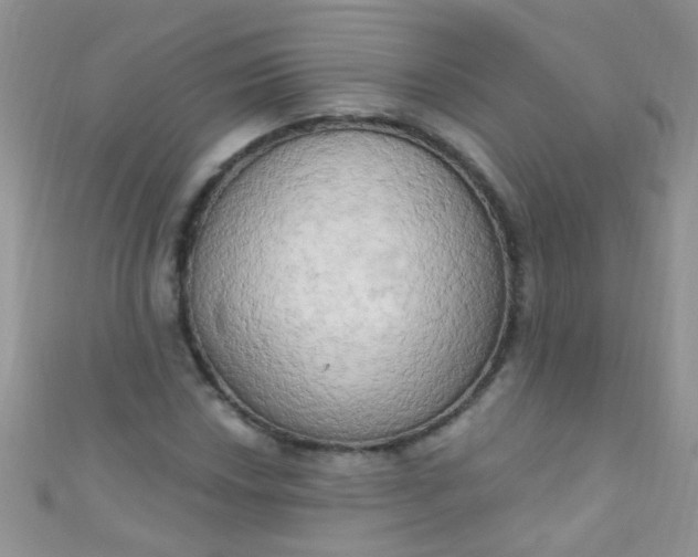 X0000111021018200907022154