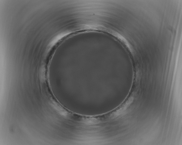 X0000111021019200907022154