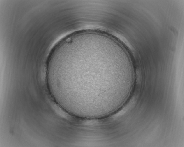 X0000111021021200907022154