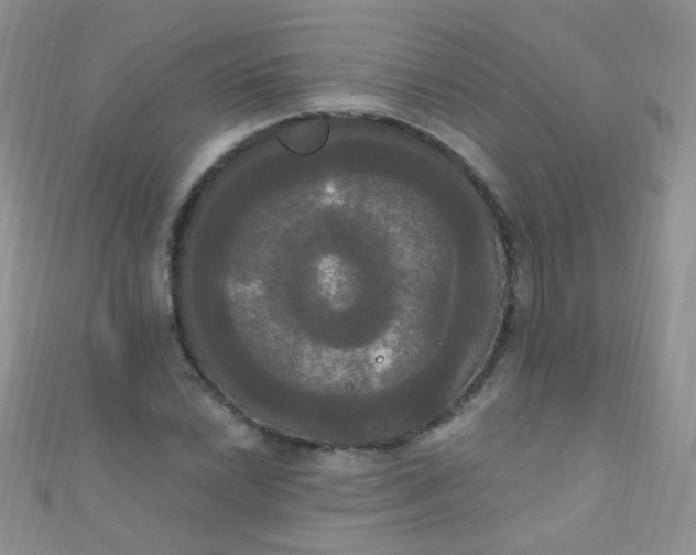 X0000111021022200907022154