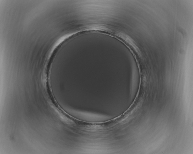 X0000111021024200907022154