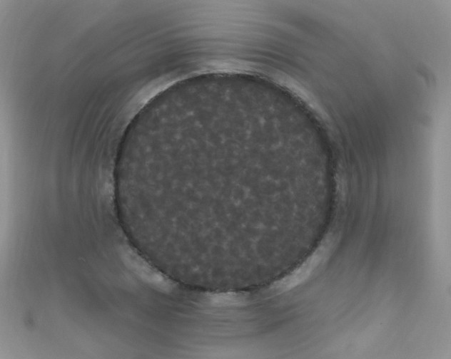 X0000111021025200907022154