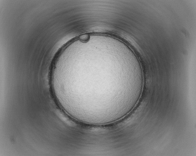 X0000111021026200907022154