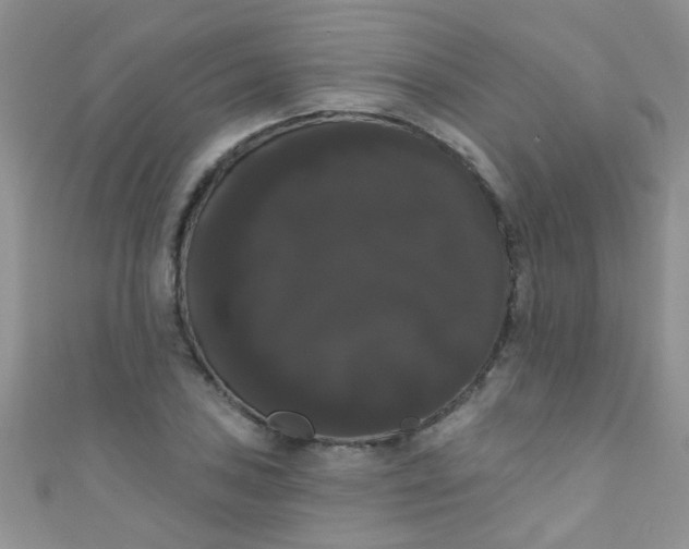 X0000111021027200907022154