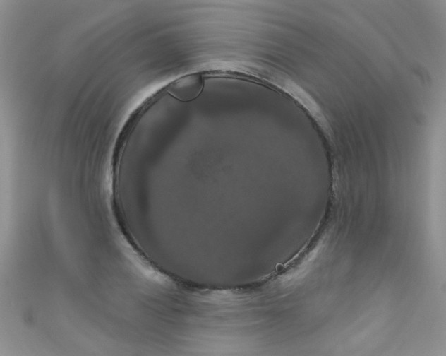 X0000111021028200907022154