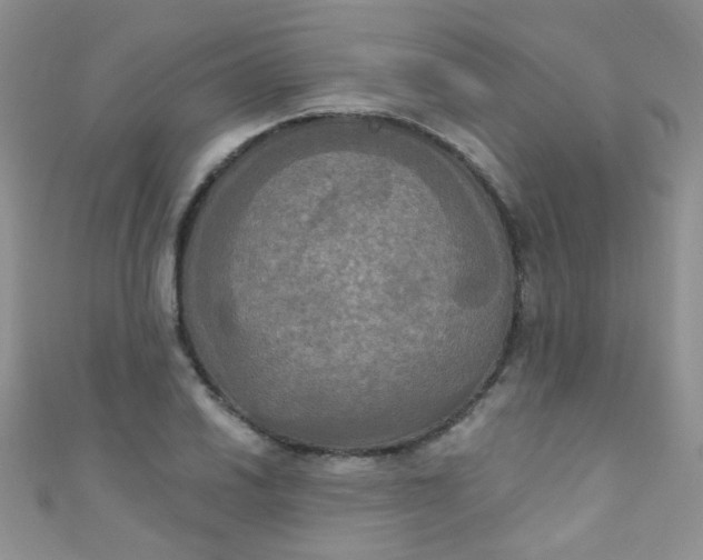 X0000111021030200907022154