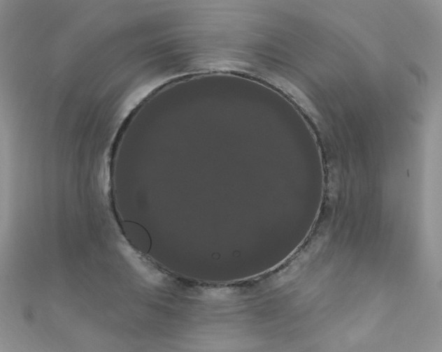 X0000111021031200907022154