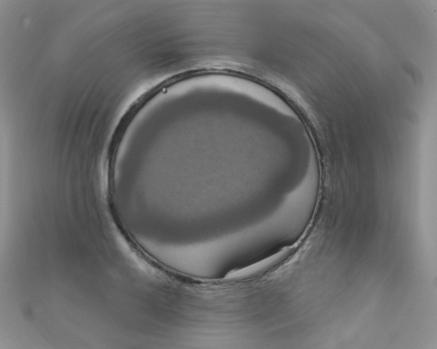 X0000111021032200907022154