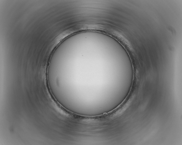 X0000111021033200907022154
