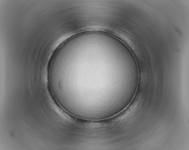 X0000111021034200907022154