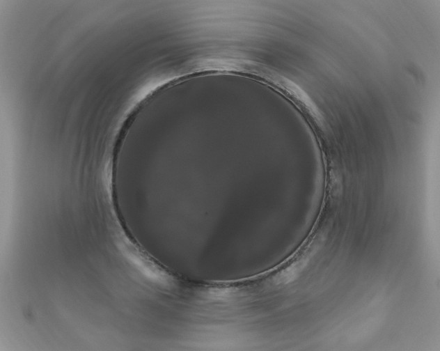 X0000111021035200907022154