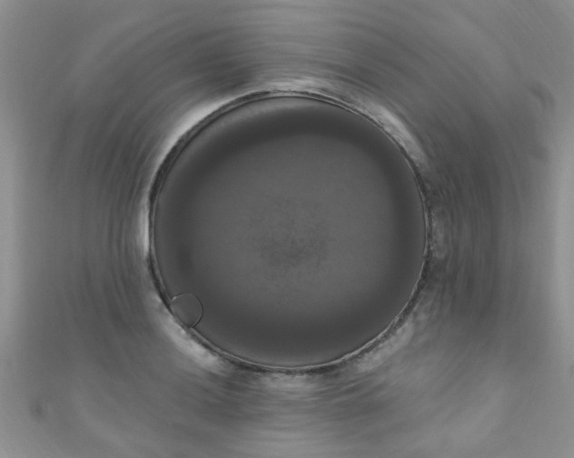 X0000111021036200907022154