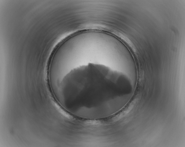 X0000111021037200907022154