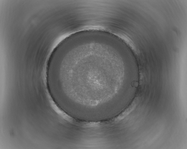 X0000111021038200907022154