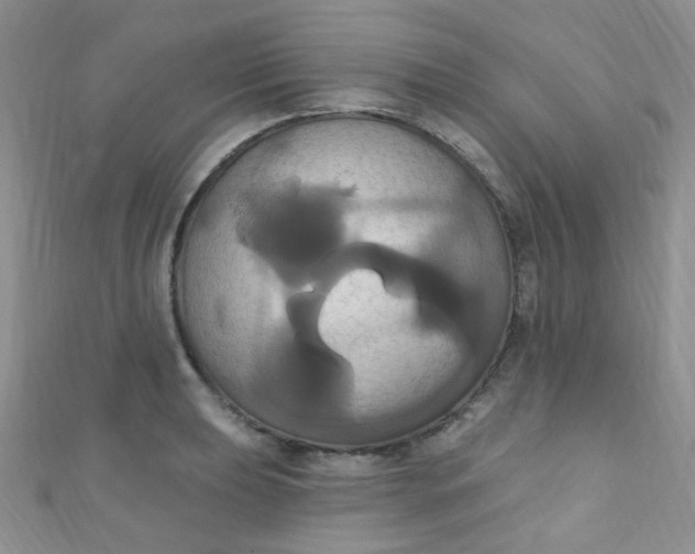 X0000111021039200907022154
