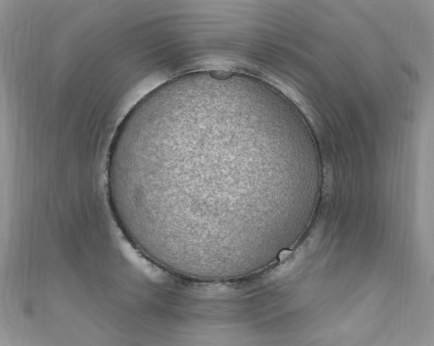 X0000111021042200907022154