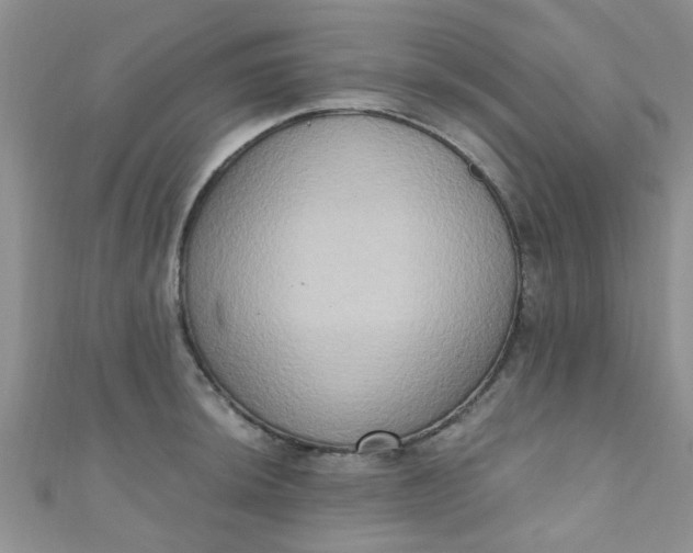 X0000111021044200907022154