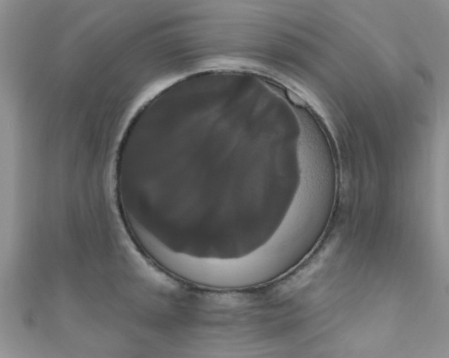 X0000111021045200907022154