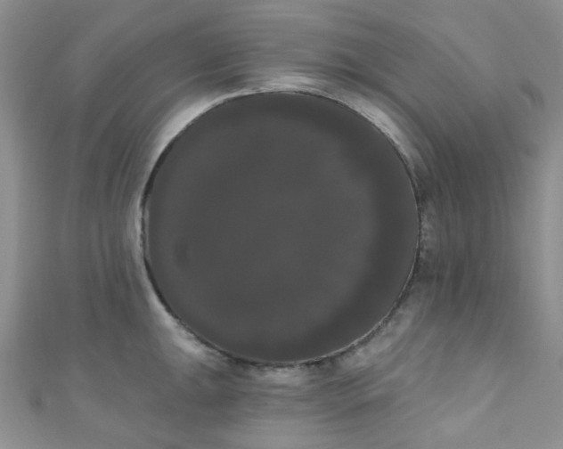 X0000111021047200907022154