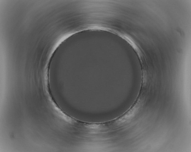 X0000111021048200907022154