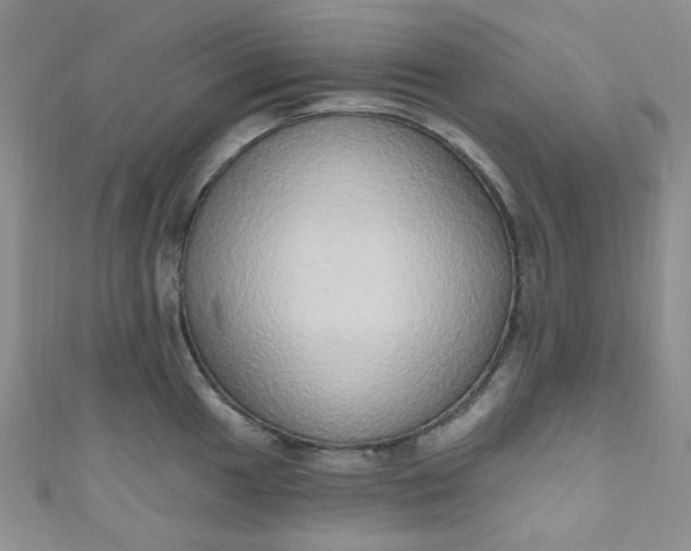 X0000111021049200907022154