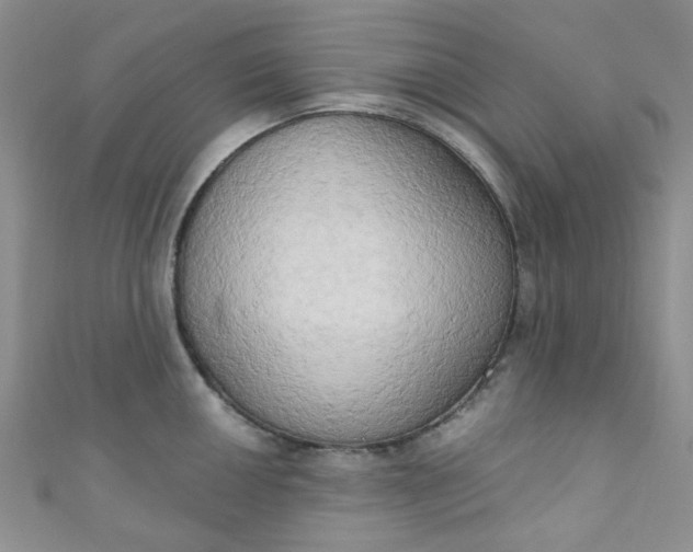 X0000111021050200907022154