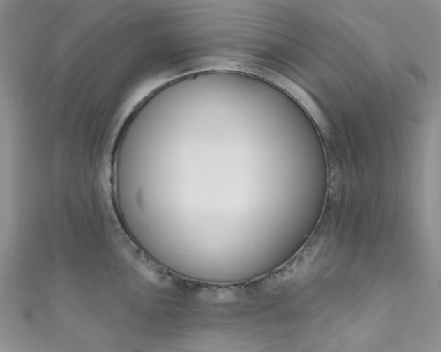 X0000111021051200907022154
