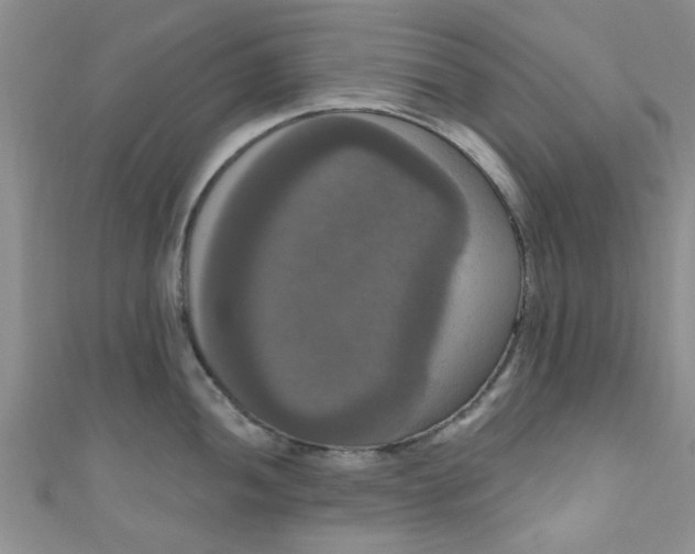 X0000111021052200907022154