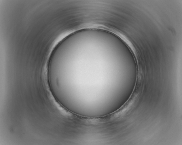 X0000111021053200907022154