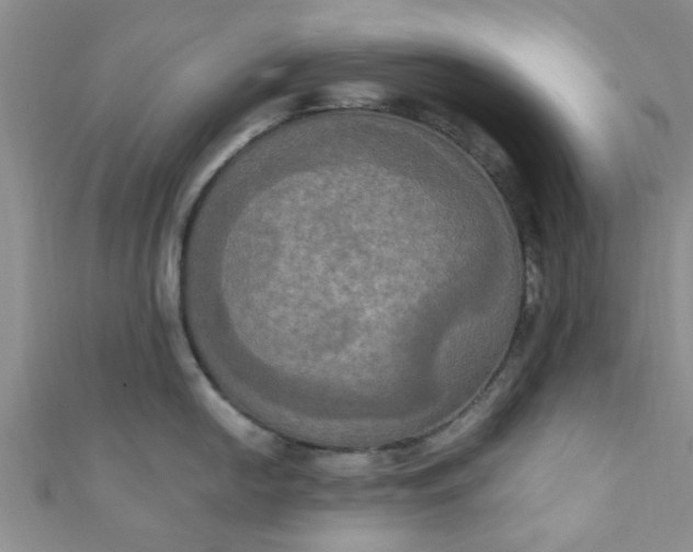 X0000111021054200907022154