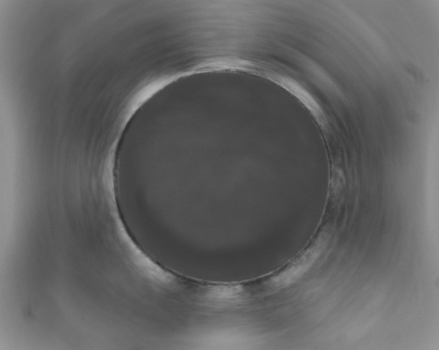 X0000111021055200907022154