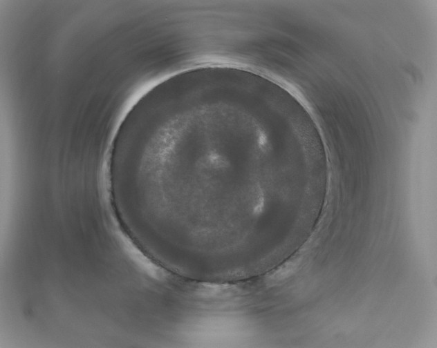 X0000111021056200907022154