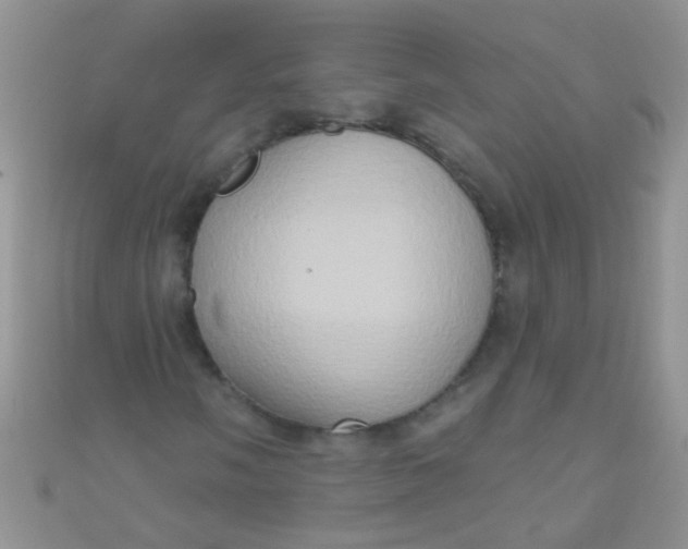 X0000111021058200907022154