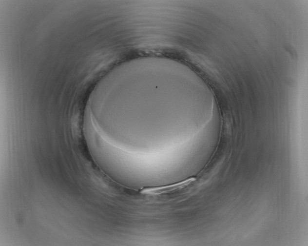 X0000111021060200907022154
