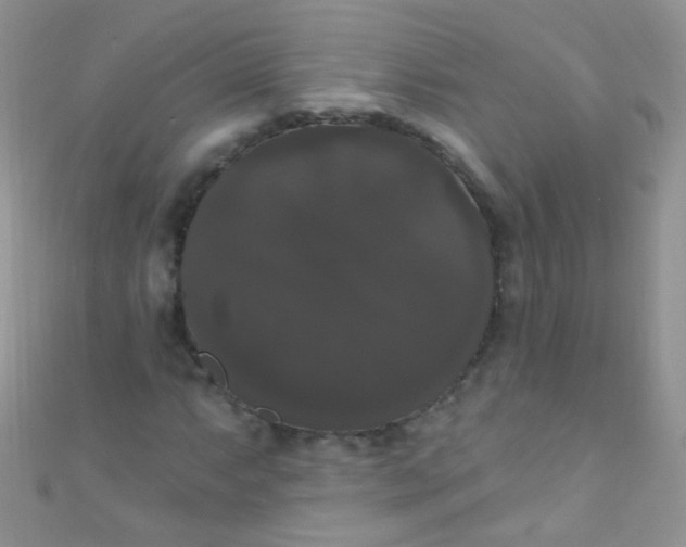 X0000111021063200907022154