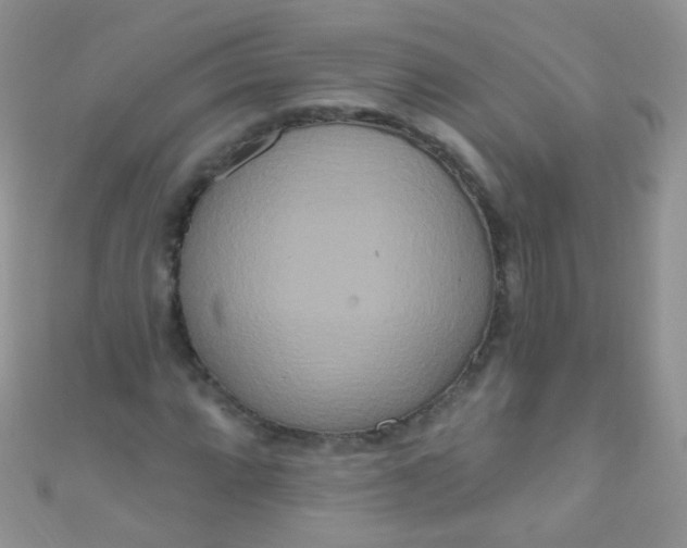 X0000111021064200907022154
