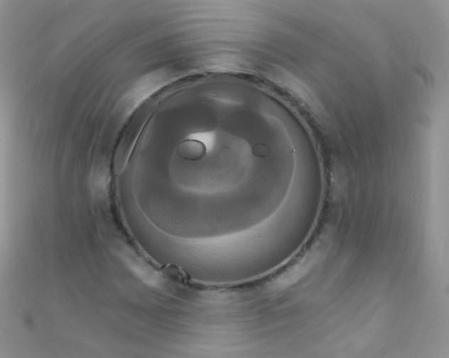 X0000111021065200907022154