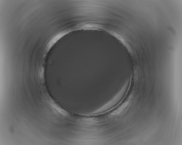 X0000111021066200907022154