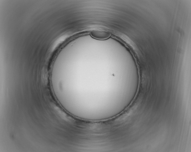 X0000111021067200907022154
