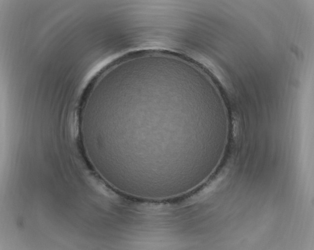 X0000111021069200907022154