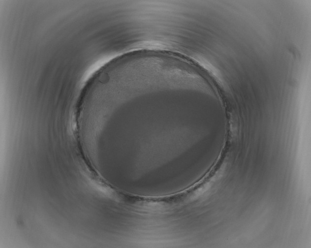 X0000111021070200907022154