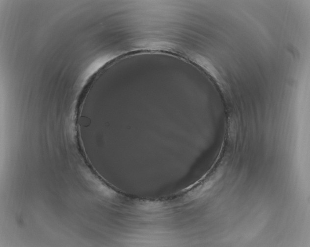 X0000111021071200907022154