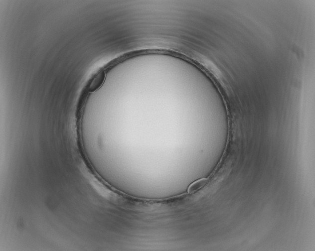 X0000111021072200907022154