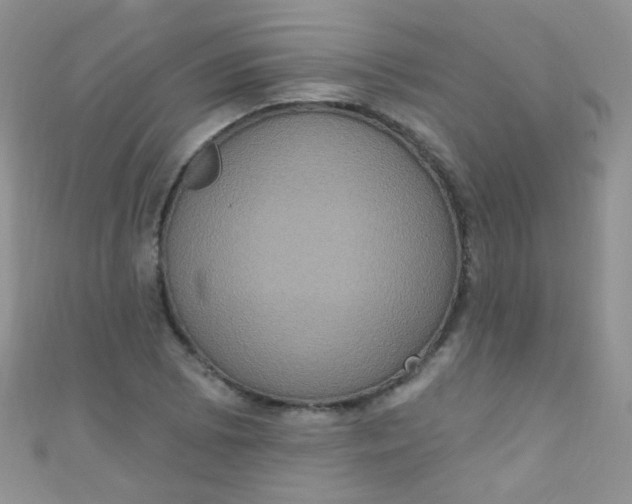 X0000111021073200907022153