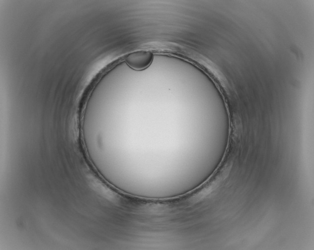X0000111021075200907022153