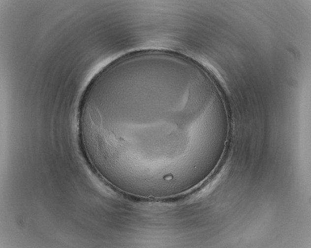 X0000111021077200907022153