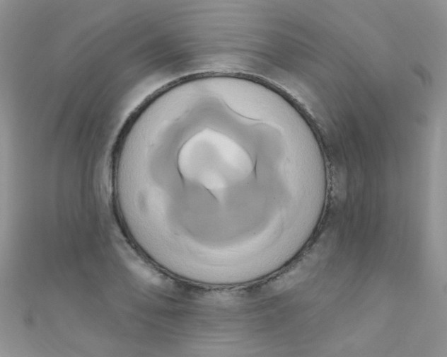 X0000111021078200907022153