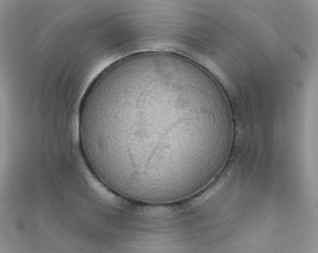 X0000111021079200907022153