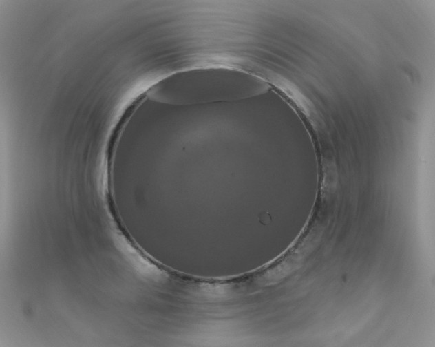 X0000111021080200907022153